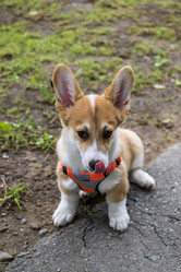 Similar image 21513360