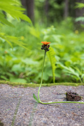 Similar image 21513362