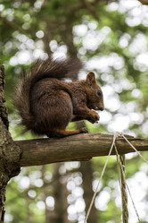 Similar image 21513363