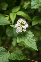 Similar image 21513364