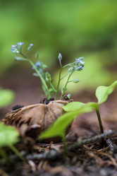 Similar image 21514409