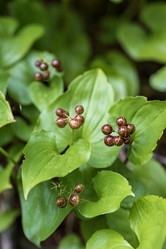 Similar image 21514410