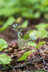 Similar image 21514411