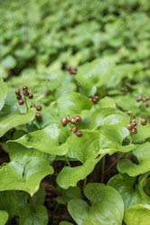 Similar image 21514412