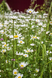 Similar image 21513575