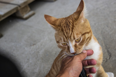 Similar image 21513366