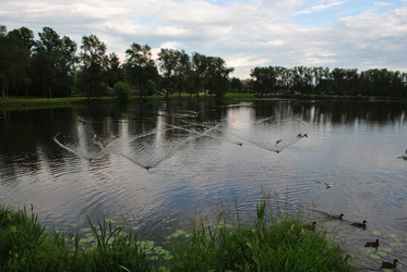 Similar image 21513579