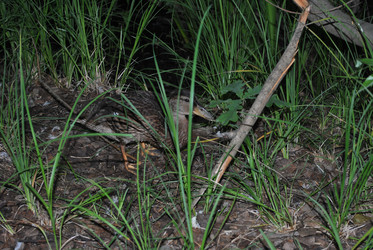 Similar image 21513580