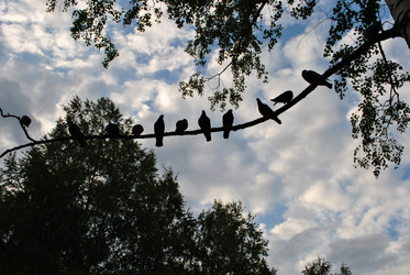 Similar image 21513581