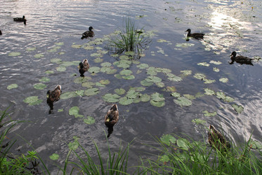 Similar image 21513582