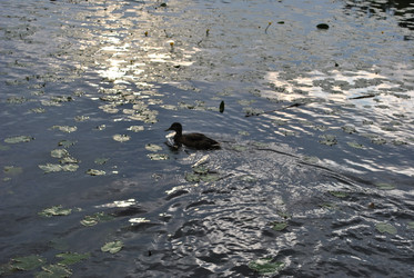 Similar image 21513585