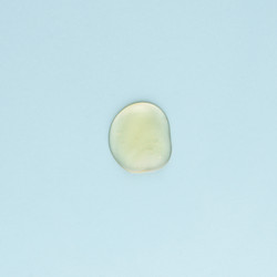 Similar image 21513372