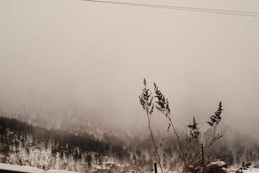 Similar image 21513627