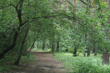 Similar image 21513628