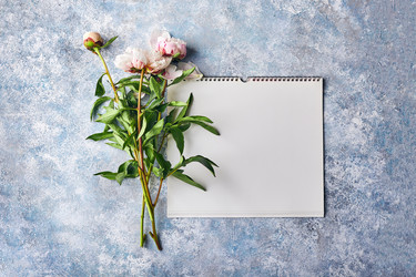 Similar image 21513645