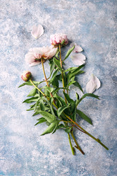 Similar image 21513649