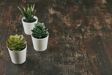 Similar image 21513664