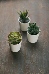 Similar image 21513665