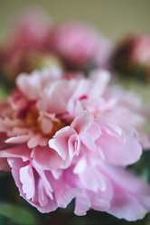 Similar image 21513683