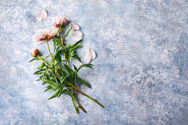 Similar image 21513685