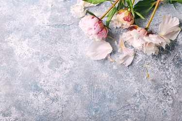 Similar image 21513686