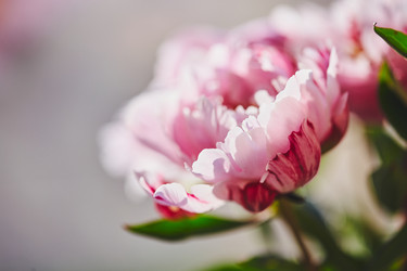 Similar image 21513719