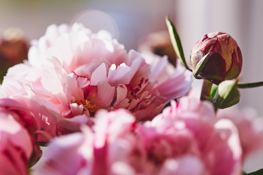 Similar image 21513720