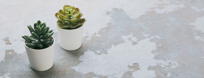 Similar image 21513721