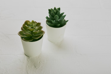 Similar image 21513723