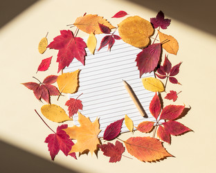 Similar image 21514086