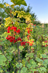 Similar image 21514089