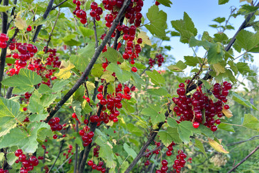 Similar image 21514090