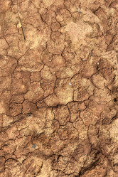 Similar image 21514091