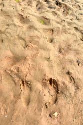 Similar image 21514092