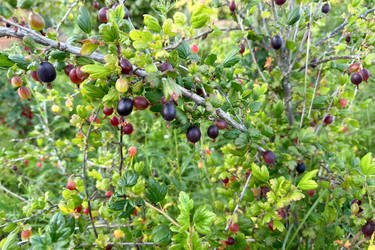 Similar image 21514094