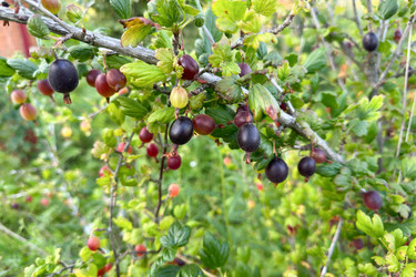 Similar image 21514095