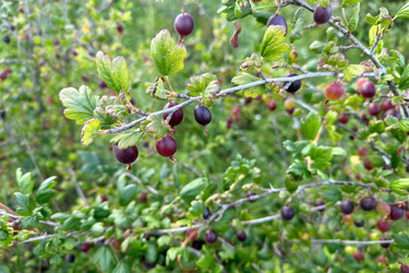 Similar image 21514097