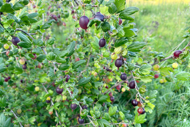 Similar image 21514098