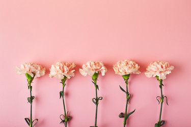 Similar image 21517643