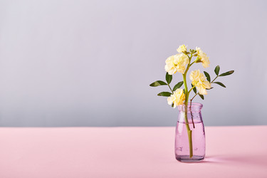 Similar image 21517648