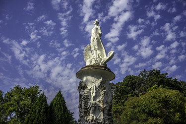 Similar image 21519144