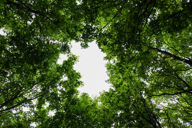 Similar image 21513749