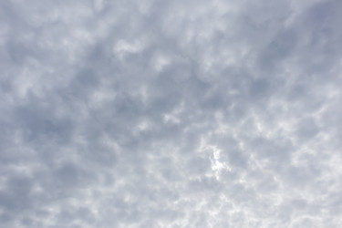 Similar image 21513750