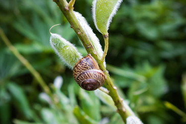 Similar image 21513751