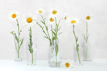 Similar image 21513756