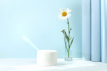 Similar image 21513757