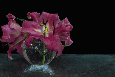 Similar image 21515229