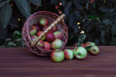 Similar image 21515230