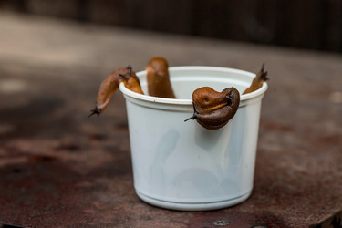 Similar image 21514137