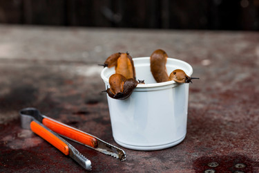 Similar image 21514139